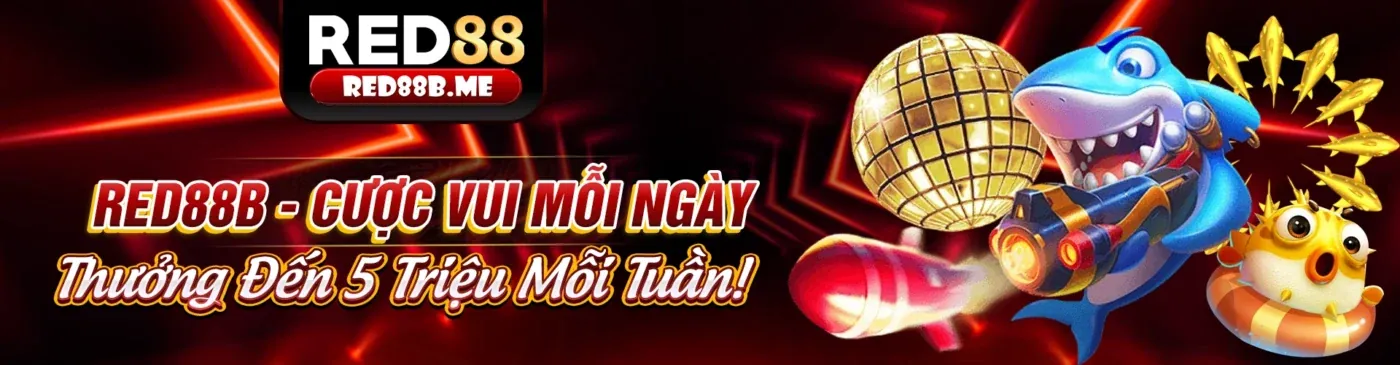 Hình ảnh chính của blog 789f Code với các ưu đãi độc quyền